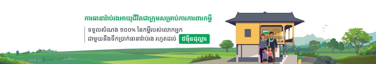 ធានារ៉ាប់រងអាយុជីវិតជាក្រុមសម្រាប់ការពារកម្ចី